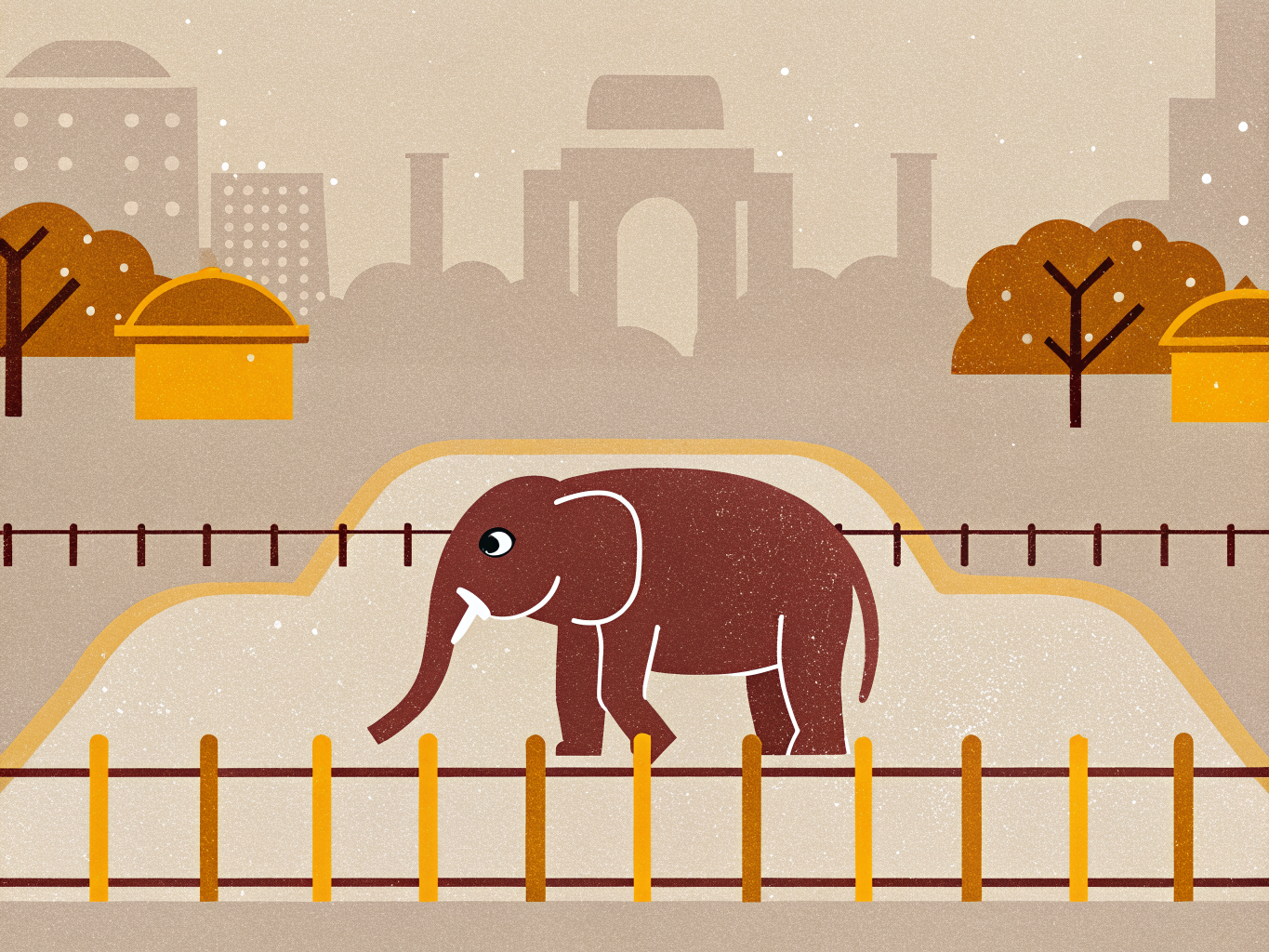 After Happy's Death, Bronx Zoo Is Weighing Whether to Send Its Last Elephant to Tennessee